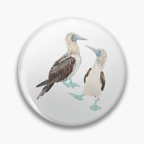 Item preview, Blue Footed Booby designed and sold by 3willows.