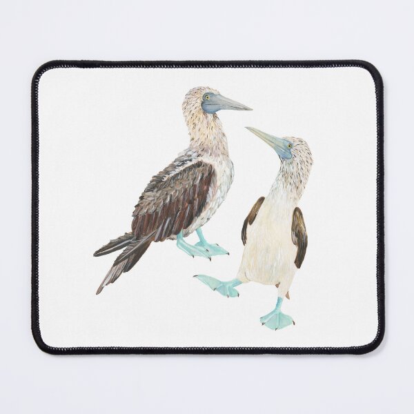 Item preview, Blue Footed Booby designed and sold by 3willows.