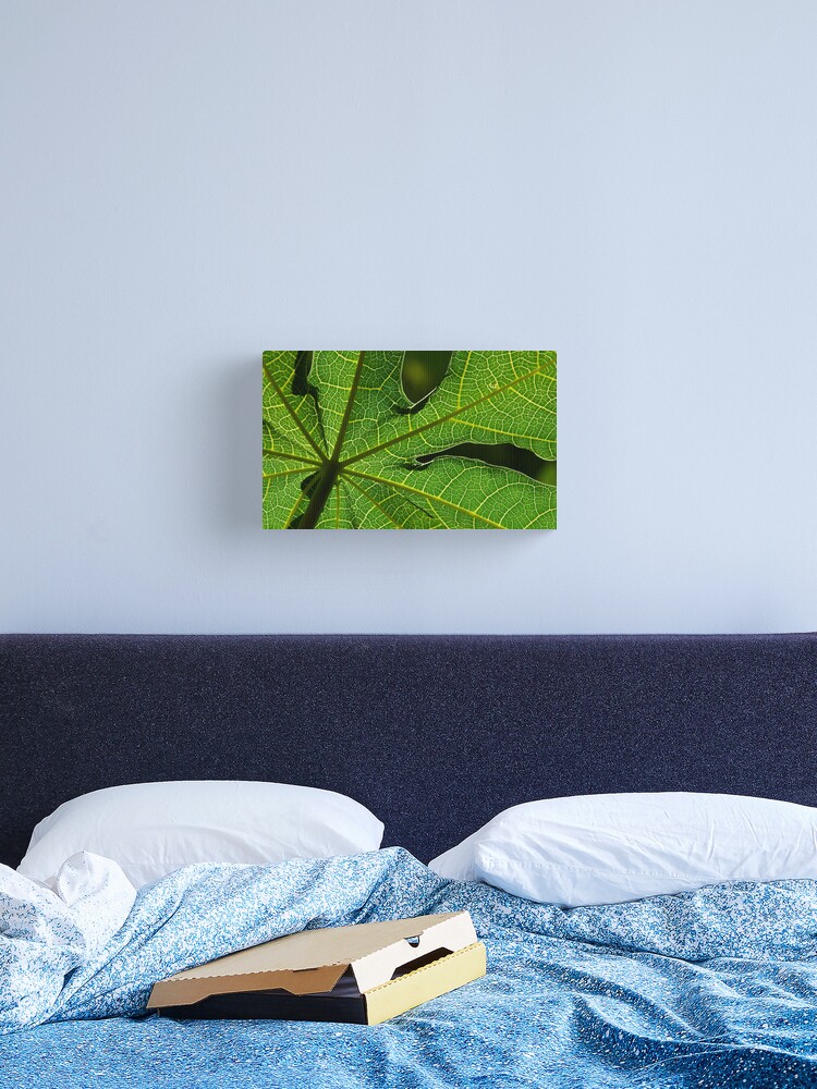 Thumbnail 1 of 3, Canvas Print, Papaya Leaf designed and sold by Tim Wootton.