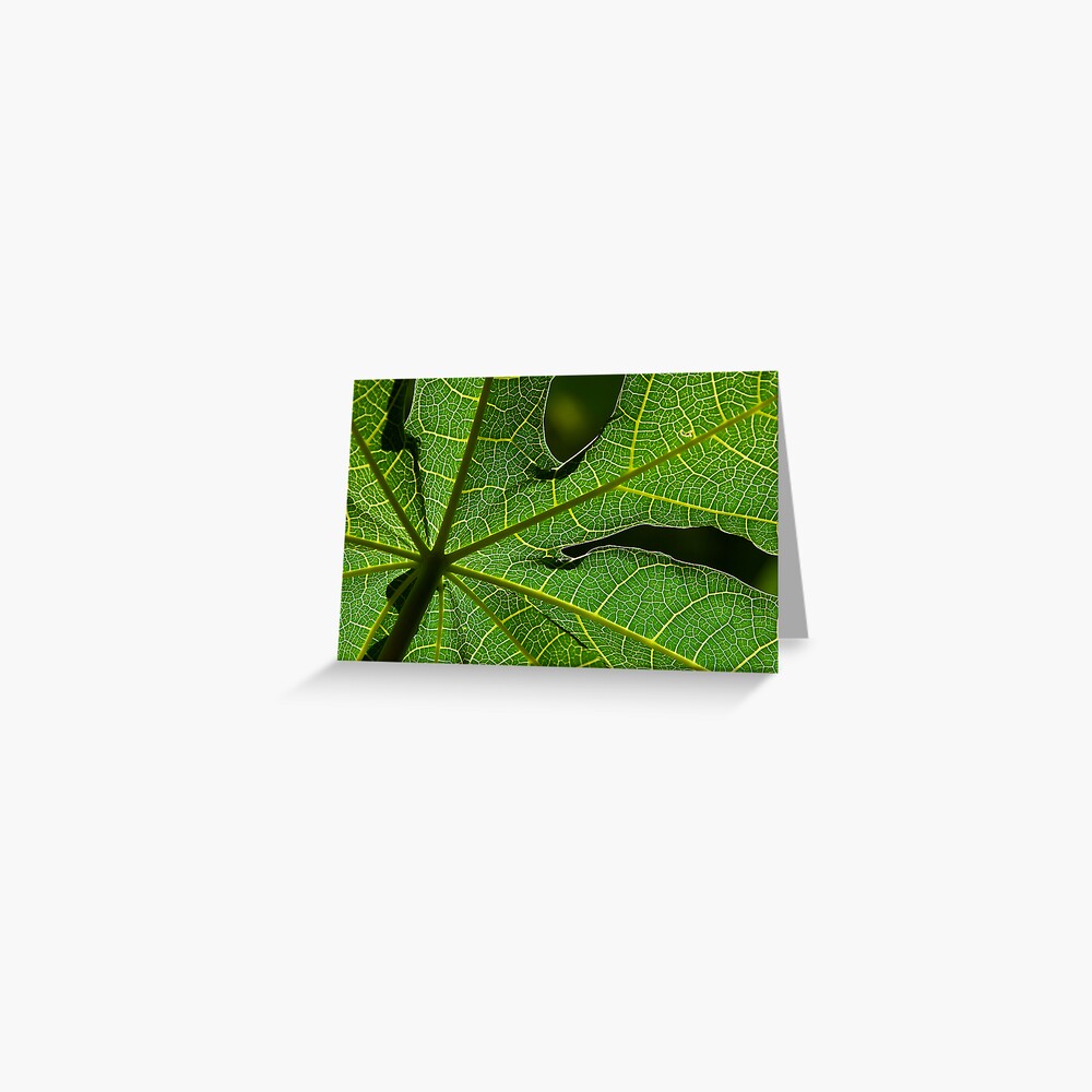 Item preview, Greeting Card designed and sold by wootton60.