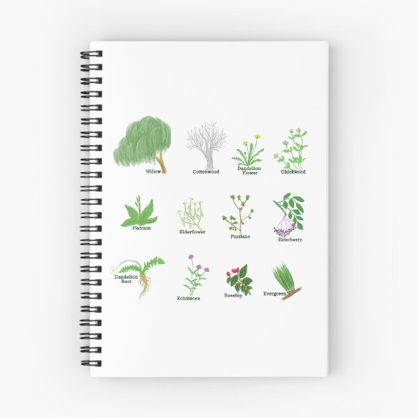 Item preview, 12 Foraging Plants designed and sold by ThunderinHorde.
