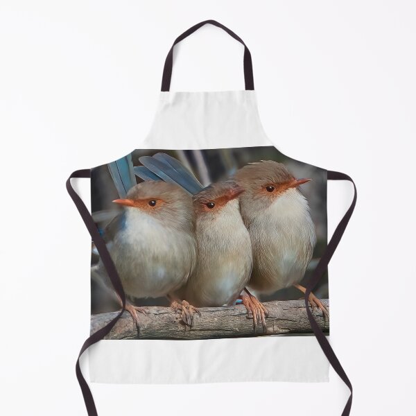 Aperçu de l'œuvre Superbes enfants Fairywren partageant la chaleur corporelle créée et vendue par GiantPaul.