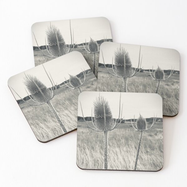 Item preview, Thistle in the field (black and white) designed and sold by SilverAlbatross.