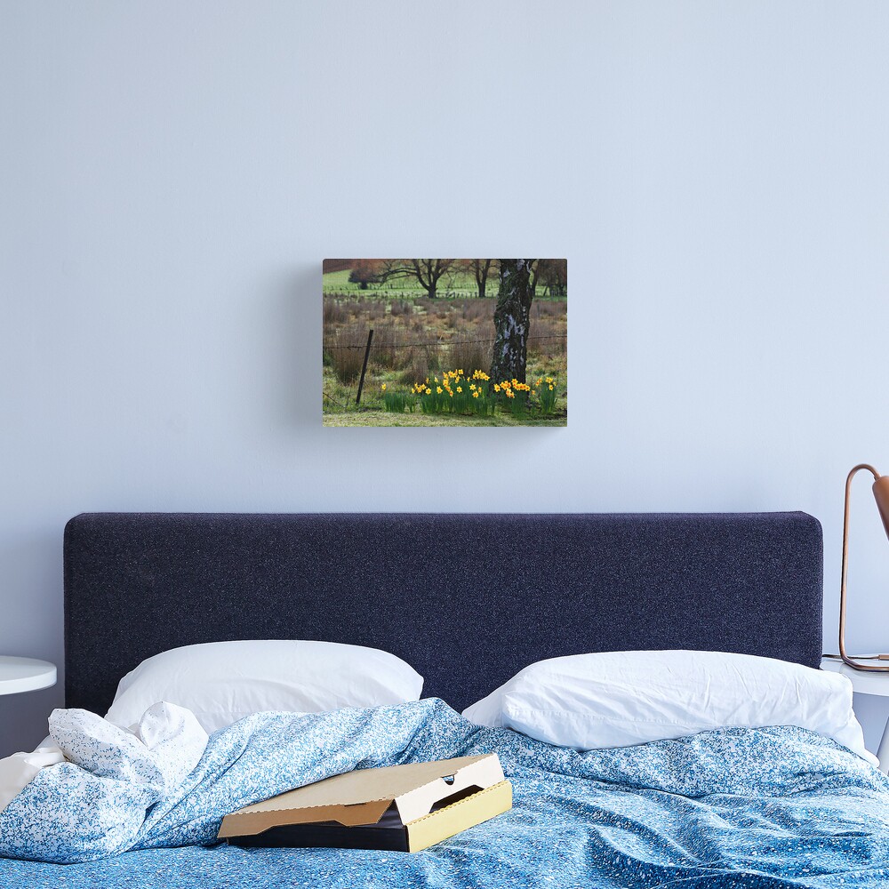 Daffodils Canvas Print