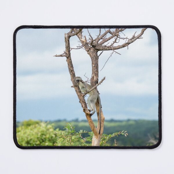 Item preview, Vivacious Vervet Monkey designed and sold by Alison Lee Rubie.
