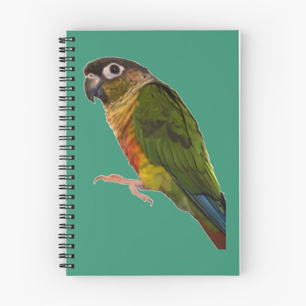 Item preview, Green Cheek Conure design  Conure  Small Parrot  Parakeet  Parrot lover 	 	 designed and sold by evcljuto82.