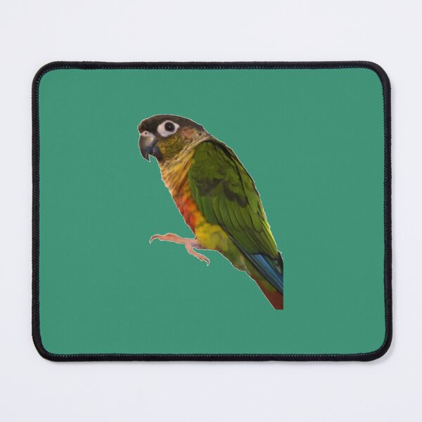 Item preview, Green Cheek Conure design Conure Small Parrot Parakeet Parrot lover designed and sold by evcljuto82.