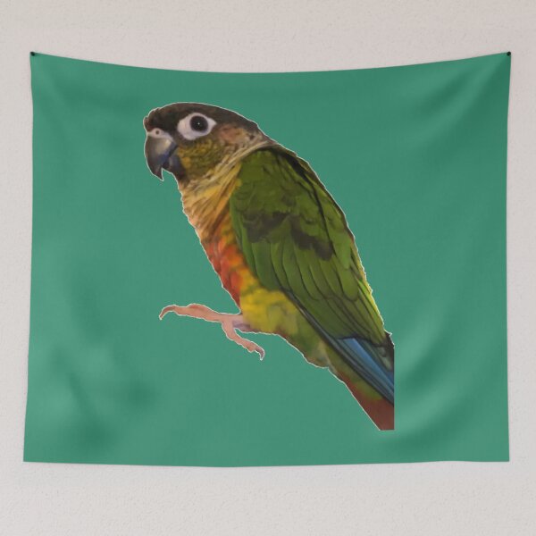 Item preview, Green Cheek Conure design  Conure  Small Parrot  Parakeet  Parrot lover 	 	 designed and sold by evcljuto82.