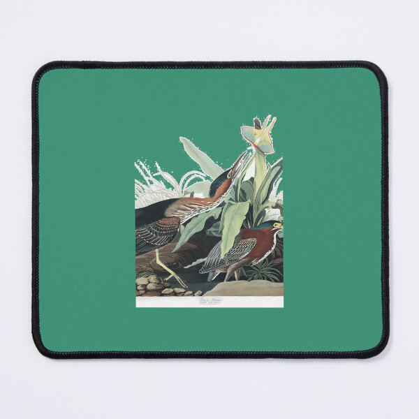 Item preview, Green Heron - John James Audubon Art Print 	 designed and sold by evcljuto82.
