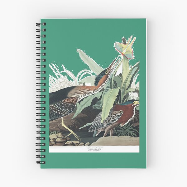 Item preview, Green Heron - John James Audubon Art Print 	 designed and sold by evcljuto82.
