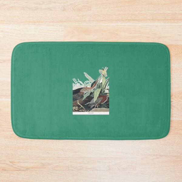 Item preview, Green Heron - John James Audubon Art Print 	 designed and sold by evcljuto82.