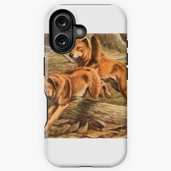 Item preview, Fuertes, Louis Agassiz (1874-1927) - Book of Dogs 1919 (Dingo) designed and sold by ARTPICS SIMPLE.