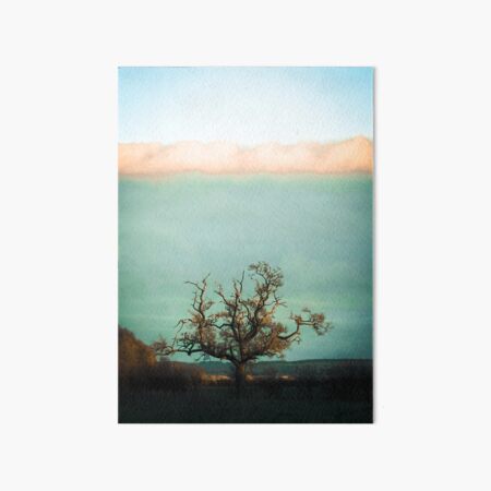Mighty Oaks and Midnight Dreams Art Board Print