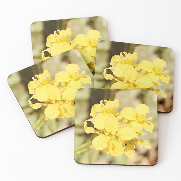 Item preview, A SUMMERS SMILE ;0) designed and sold by NatureSoReal.