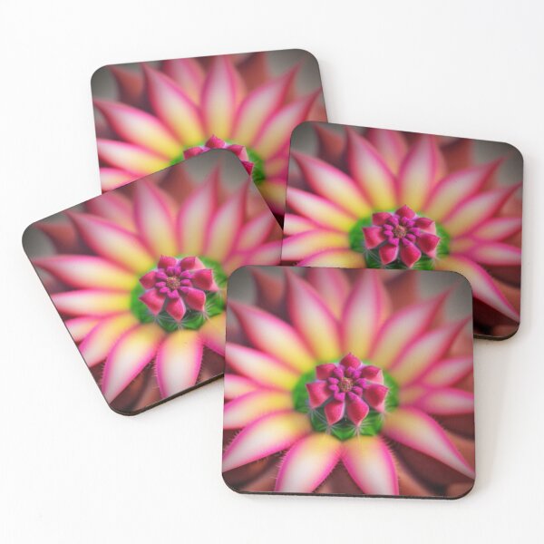 Item preview, Cactus flower-succulents  designed and sold by Roxburylane.