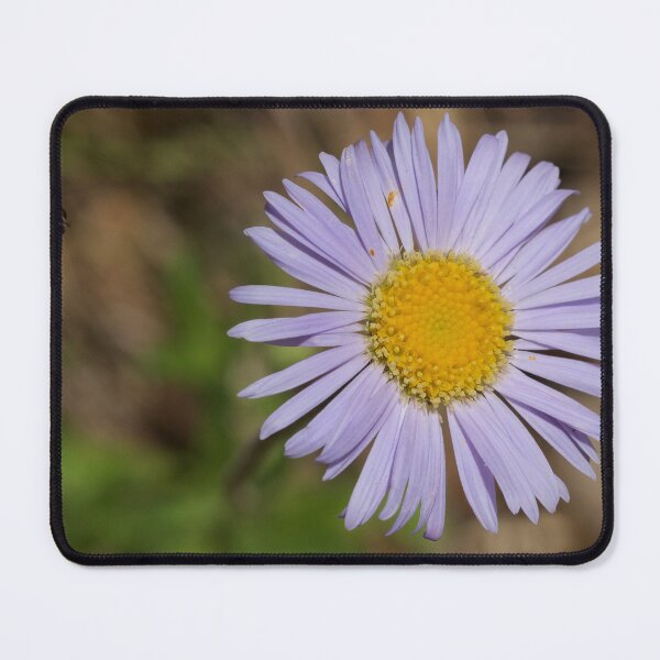 Item preview, Hover Fly designed and sold by D-GaP.