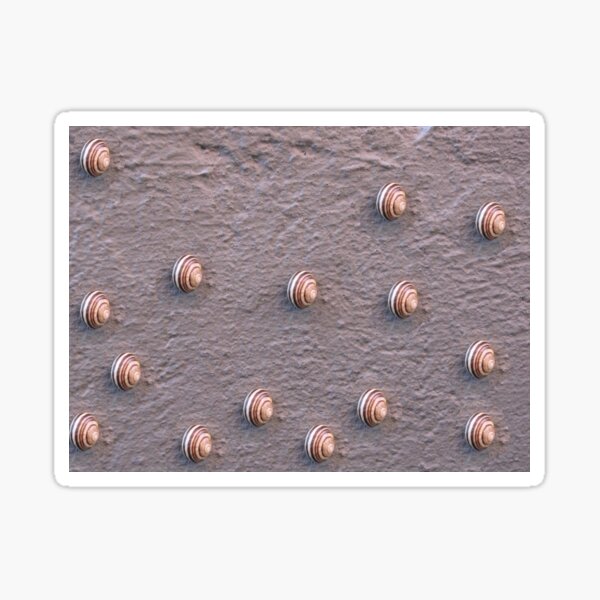 Wall of Snails Sticker