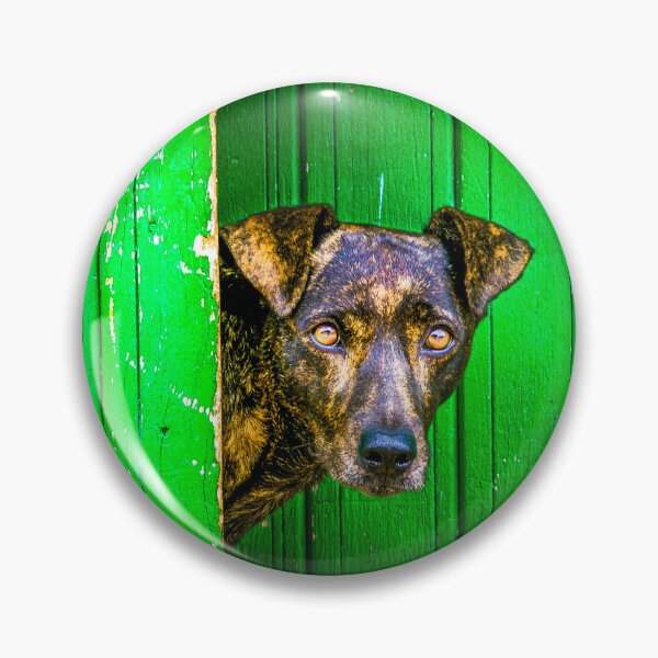Item preview, Green dog designed and sold by PhotographicAl.