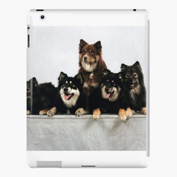 finnish lapphund group iPad Snap Case