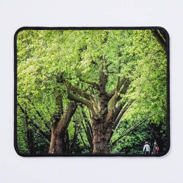 Item preview, A walk in the park designed and sold by PhotographicAl.