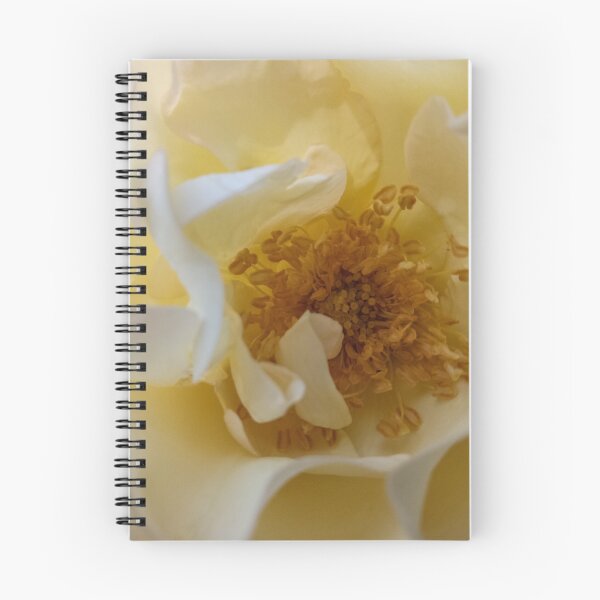 Item preview, Soft focus. Beautiful white rose background. Abstract romance background designed and sold by UnderTheLantern.