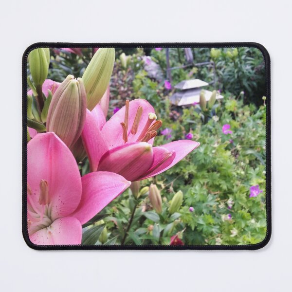 Item preview, Asiatic Lily  designed and sold by OnigiriSuiko.
