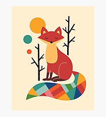 Rainbow Fox Photographic Print