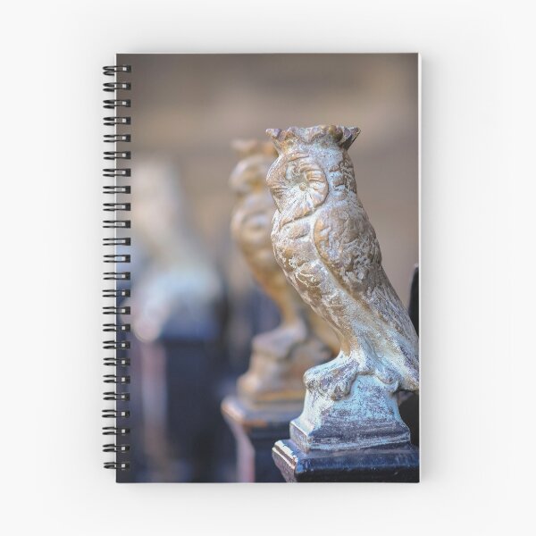 Item preview, The Leeds Golden Owls designed and sold by Rob  Ford.