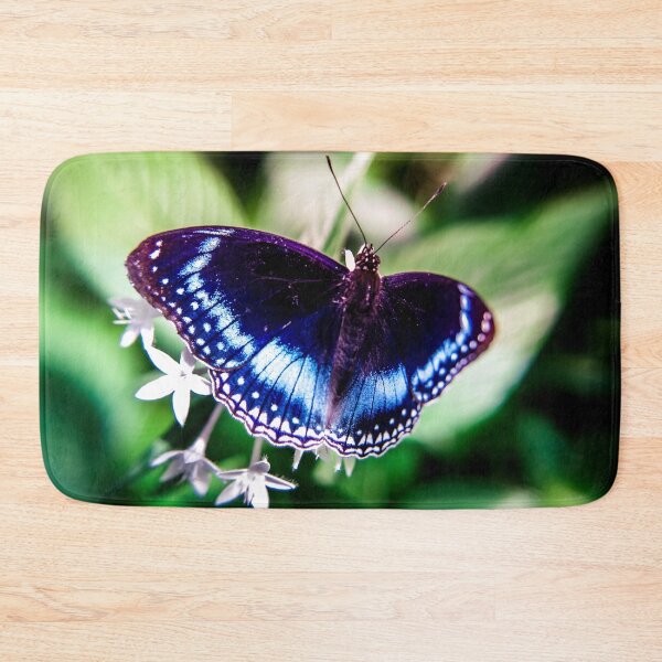 Item preview, Blue-banded eggfly designed and sold by PhotographicAl.