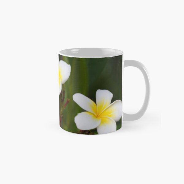 Frangipani leelawadee flowers Classic Mug