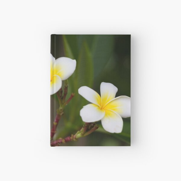 Frangipani leelawadee flowers Hardcover Journal