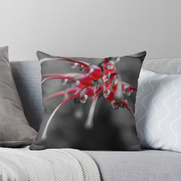 Artikelvorschau, Spinne Grevillea entworfen und verkauft von PhotographicAl.