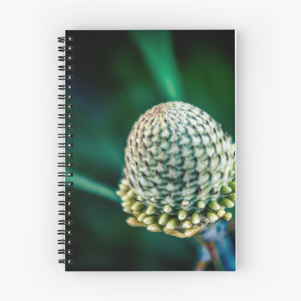 Item preview, Banksia designed and sold by PhotographicAl.