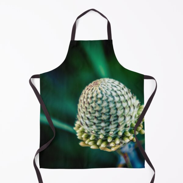 Item preview, Banksia designed and sold by PhotographicAl.