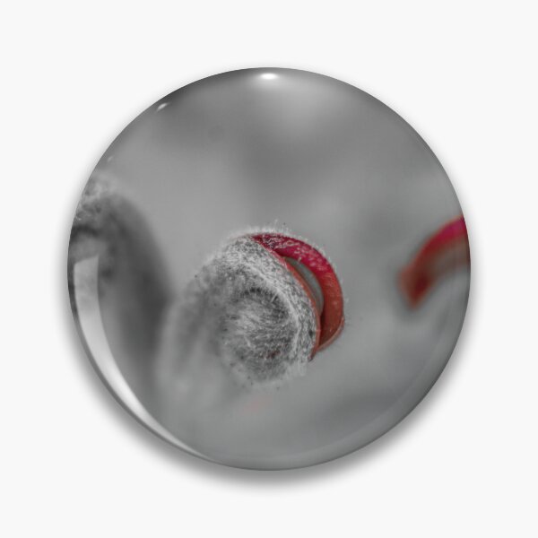 Item preview, Grevillea designed and sold by PhotographicAl.