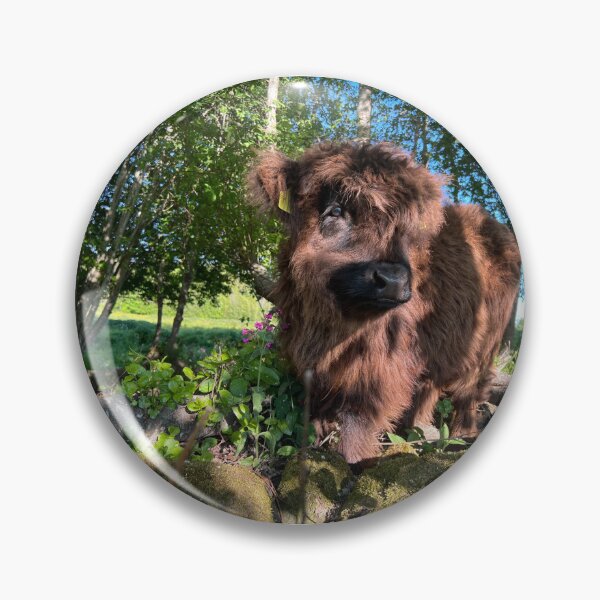 Artikelvorschau, Scottish Highland Cattle Calf 4458 entworfen und verkauft von SaarelaHighland.