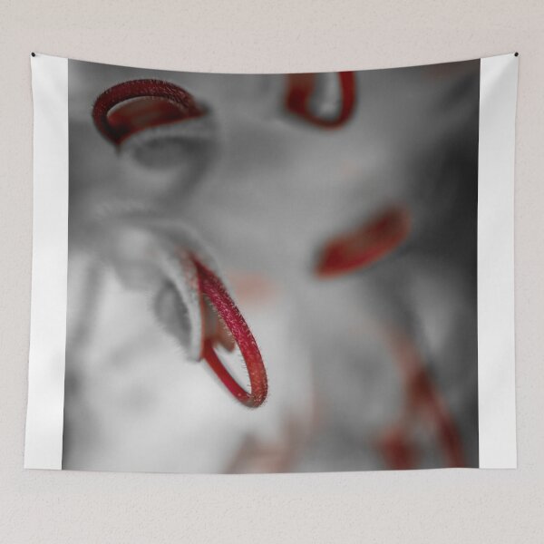 Item preview, Grevillea designed and sold by PhotographicAl.