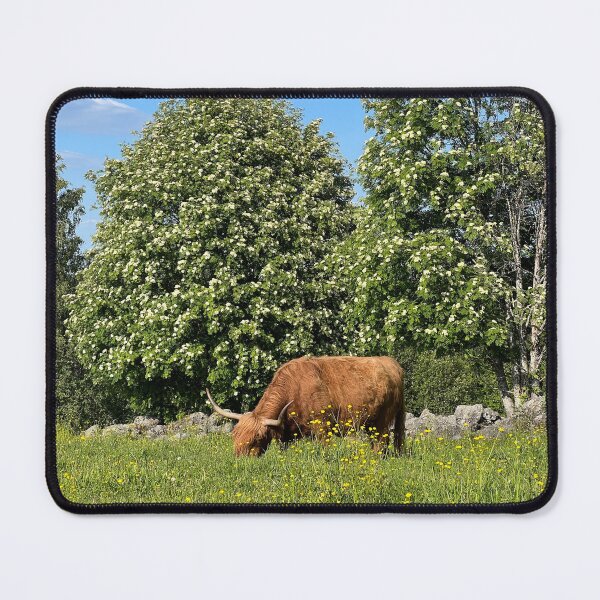 Item preview, Scottish Highland Cattle Cow 4459 designed and sold by SaarelaHighland.