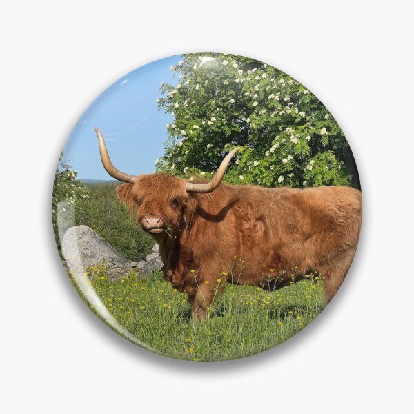 Artikelvorschau, Scottish Highland Cattle Cow 4460 entworfen und verkauft von SaarelaHighland.