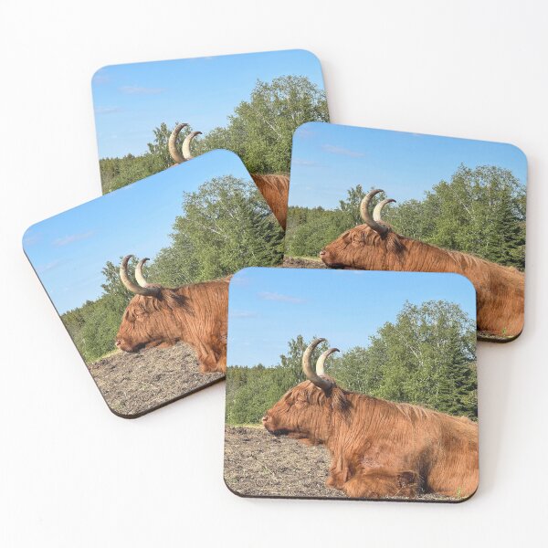 Item preview, Scottish Highland Cattle Cow 4461 designed and sold by SaarelaHighland.