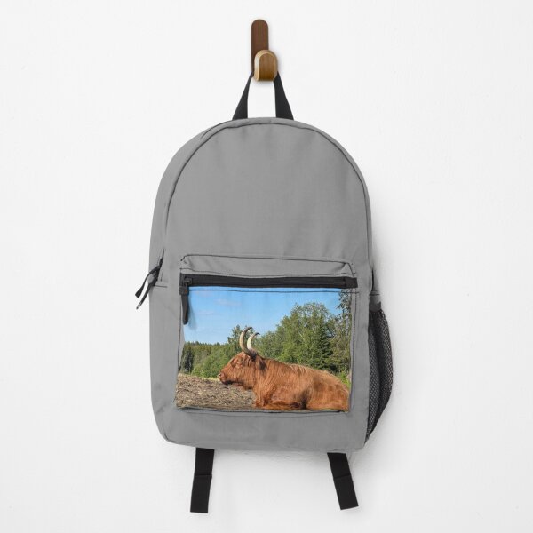 Item preview, Scottish Highland Cattle Cow 4461 designed and sold by SaarelaHighland.