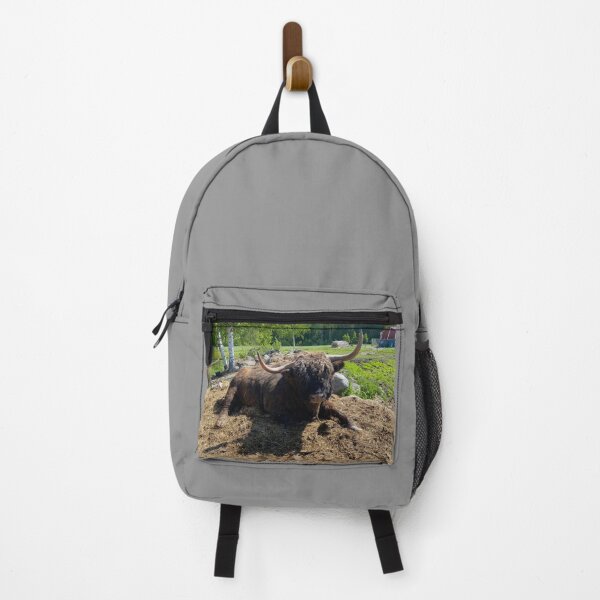 Item preview, Scottish Highland Cattle Bull 4462 designed and sold by SaarelaHighland.