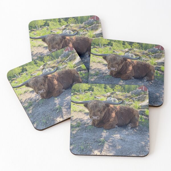 Artikelvorschau, Scottish Highland Cattle Bull 4463 entworfen und verkauft von SaarelaHighland.