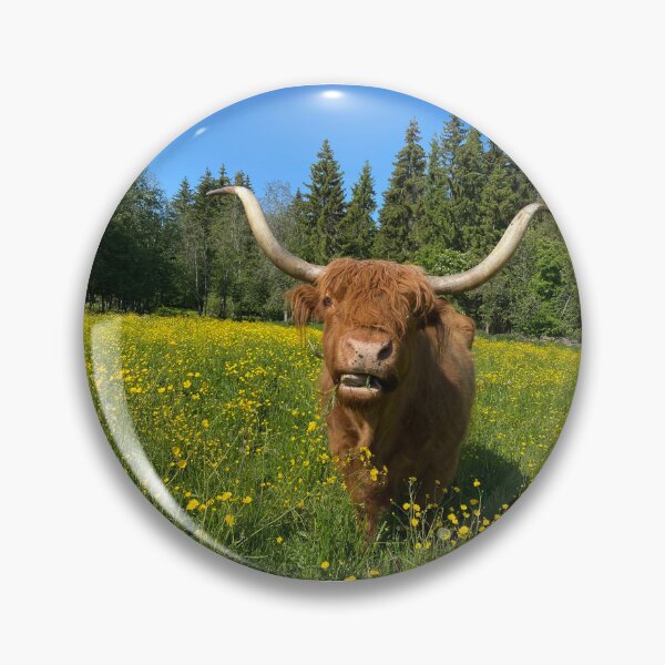 Artikelvorschau, Scottish Highland Cattle Cow 4465 entworfen und verkauft von SaarelaHighland.