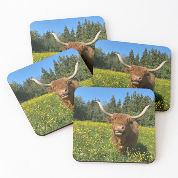 Item preview, Scottish Highland Cattle Cow 4465 designed and sold by SaarelaHighland.