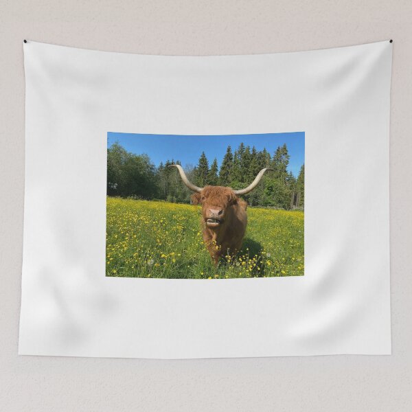 Item preview, Scottish Highland Cattle Cow 4465 designed and sold by SaarelaHighland.