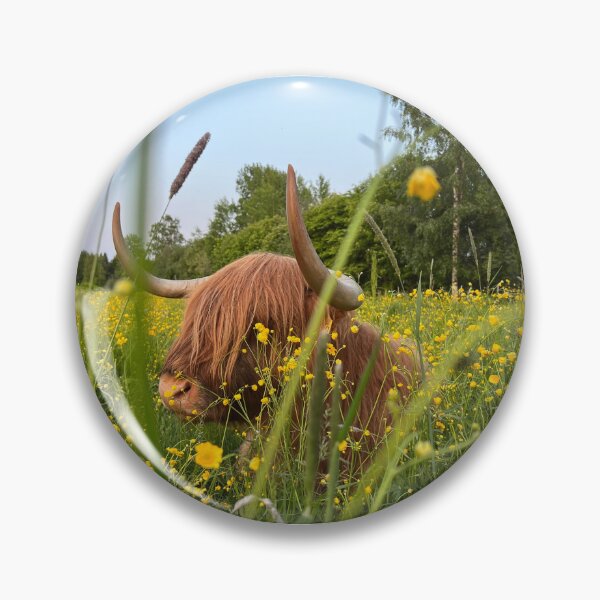 Artikelvorschau, Scottish Highland Cattle Cow 4466 entworfen und verkauft von SaarelaHighland.