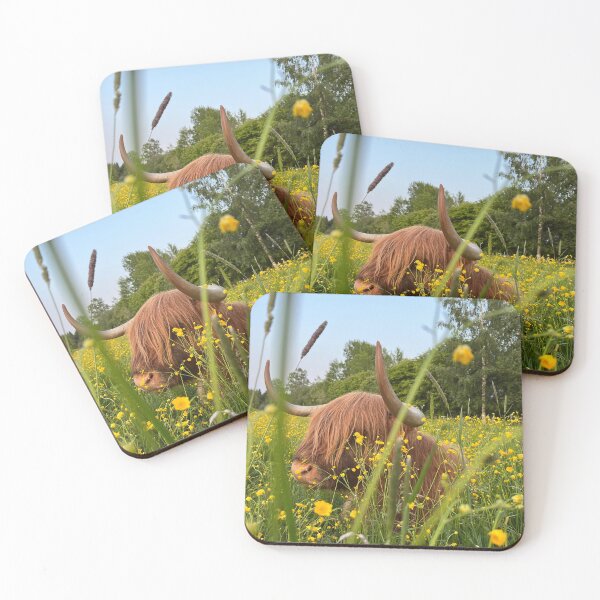 Item preview, Scottish Highland Cattle Cow 4466 designed and sold by SaarelaHighland.