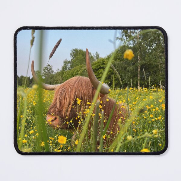 Item preview, Scottish Highland Cattle Cow 4466 designed and sold by SaarelaHighland.