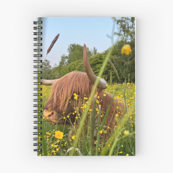 Item preview, Scottish Highland Cattle Cow 4466 designed and sold by SaarelaHighland.